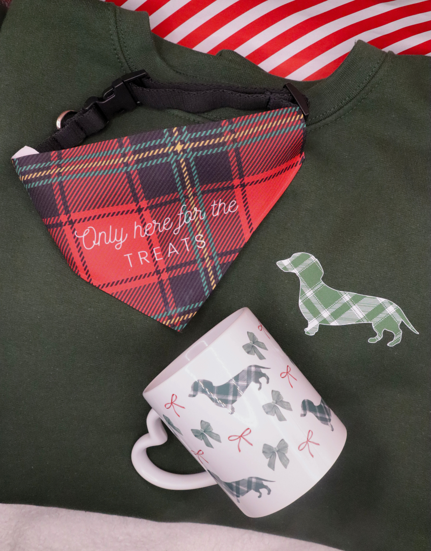 Dog Plaid Sweatshirt & Mug Bundle