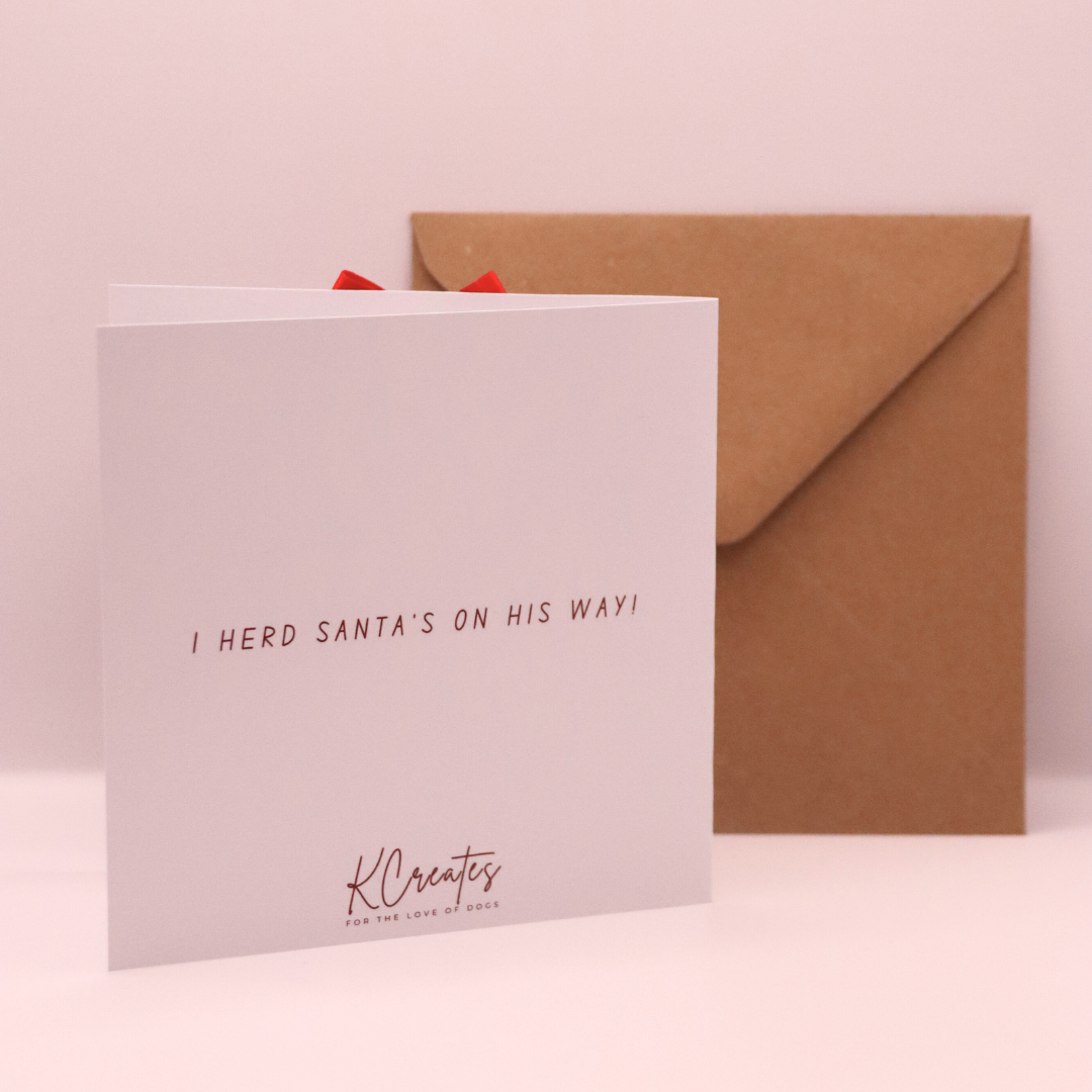 Border Collie Christmas Card