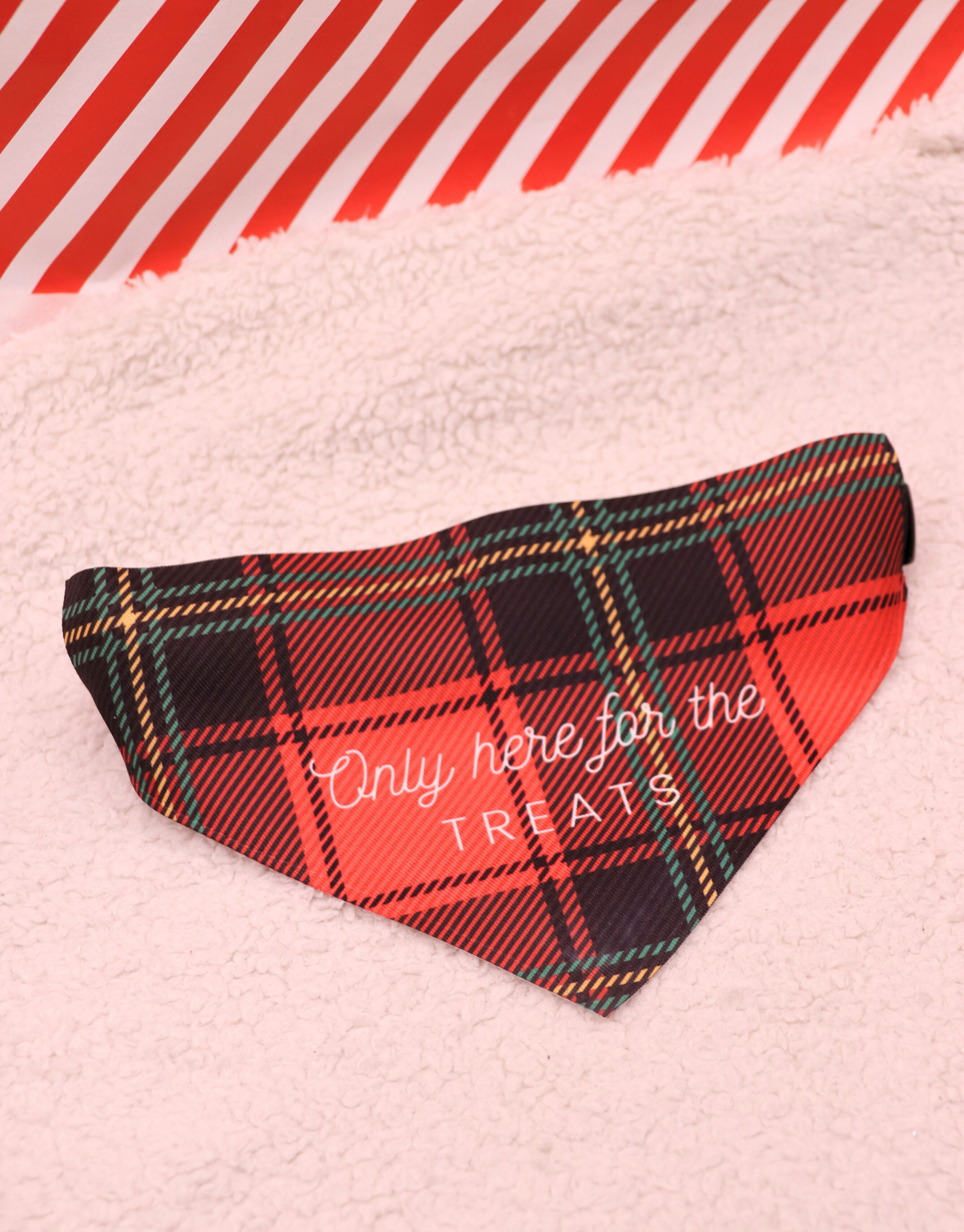 Only Here For The Treats Bandana