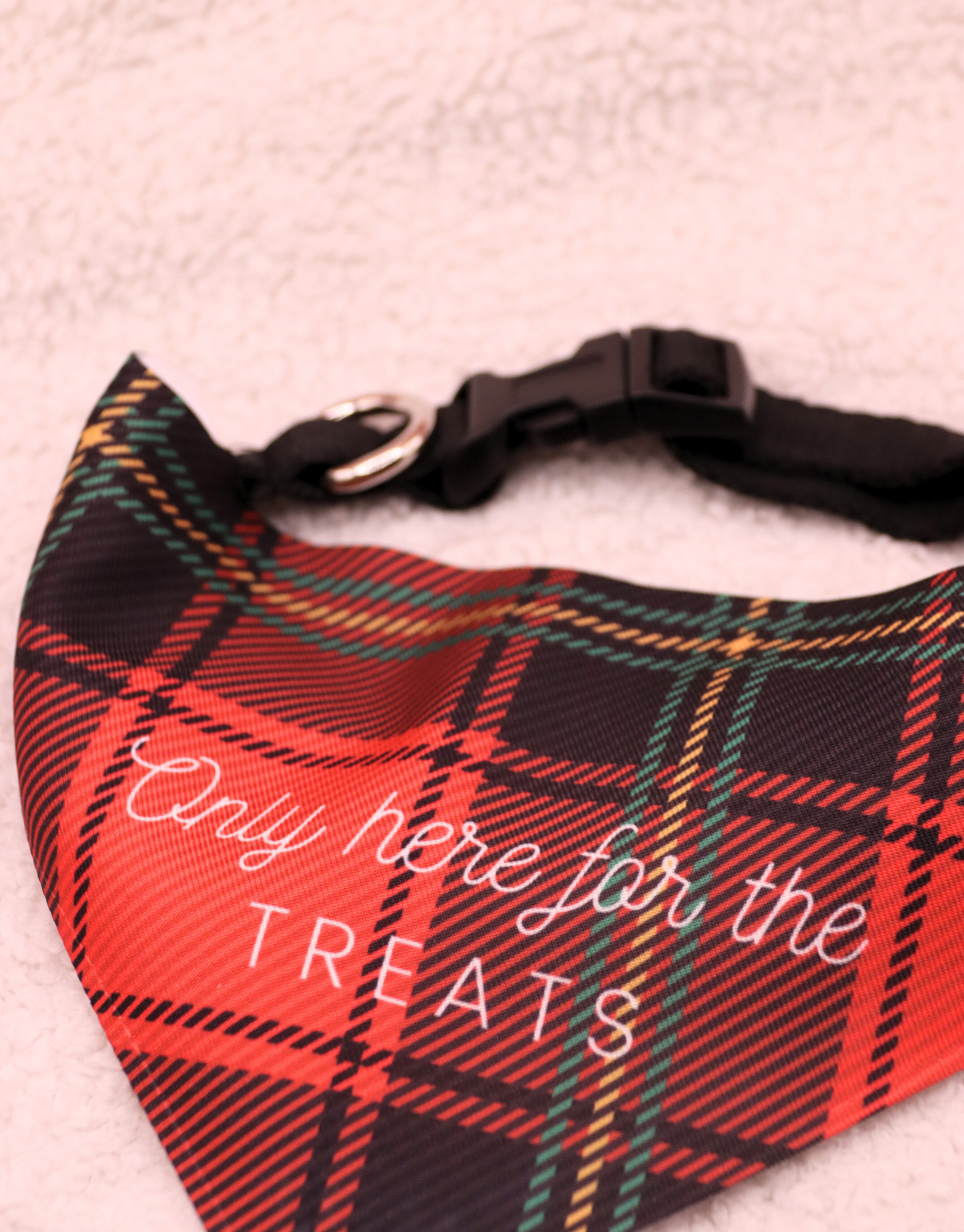 Only Here For The Treats Bandana