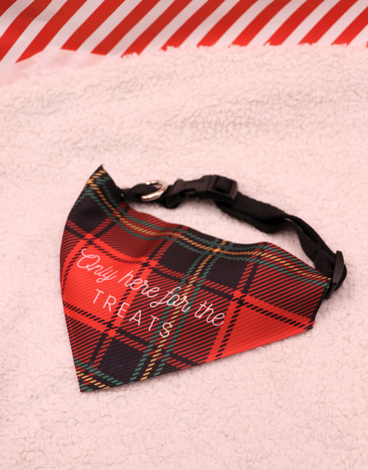 Only Here For The Treats Bandana