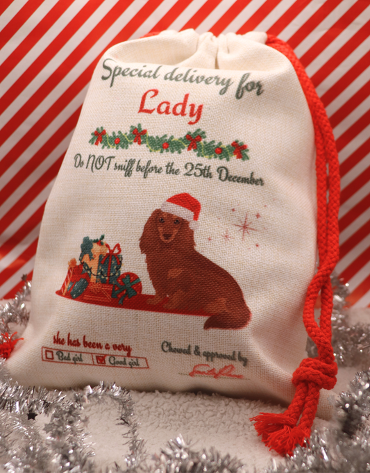 Personalised Dog Santa Sack
