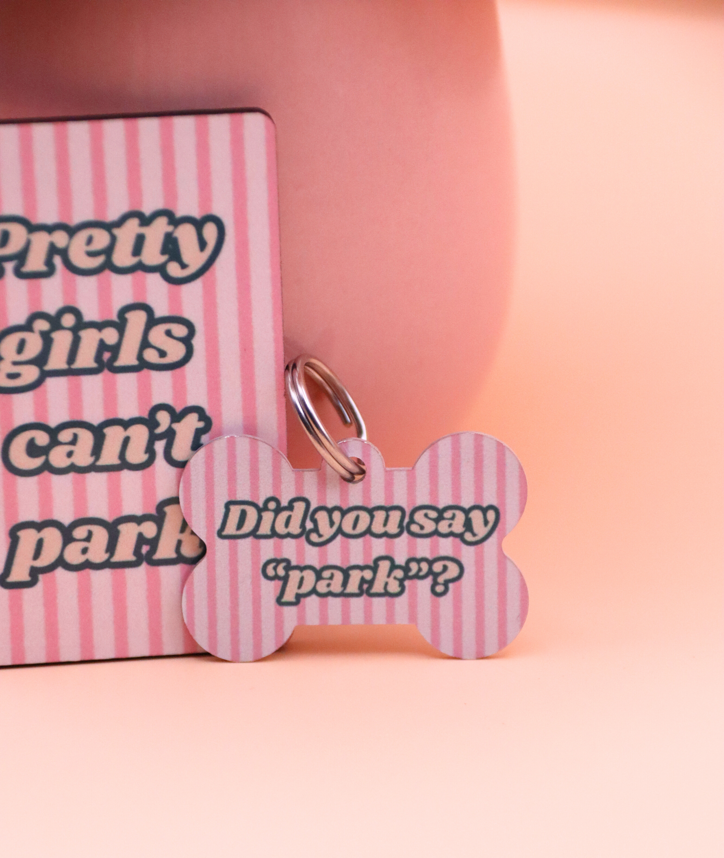 Pretty Girls Can't Park - Did You Say 'Park'? Keyring & Dog Tag Set