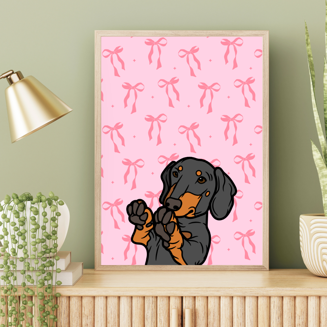 Bow Dachshund