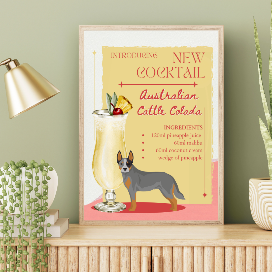 Australian Cattle Colada