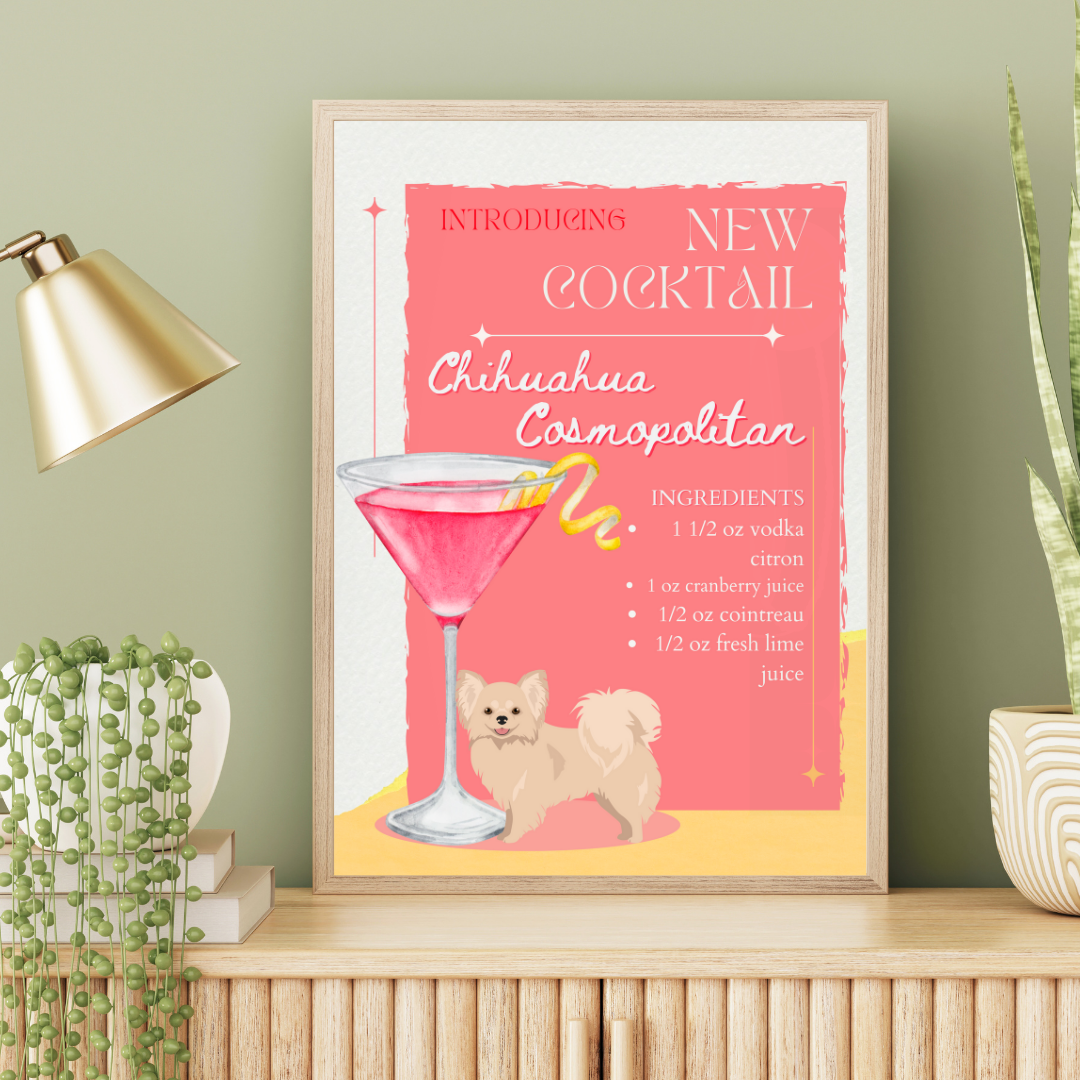 Chihuahua Cosmopolitan Long Haired