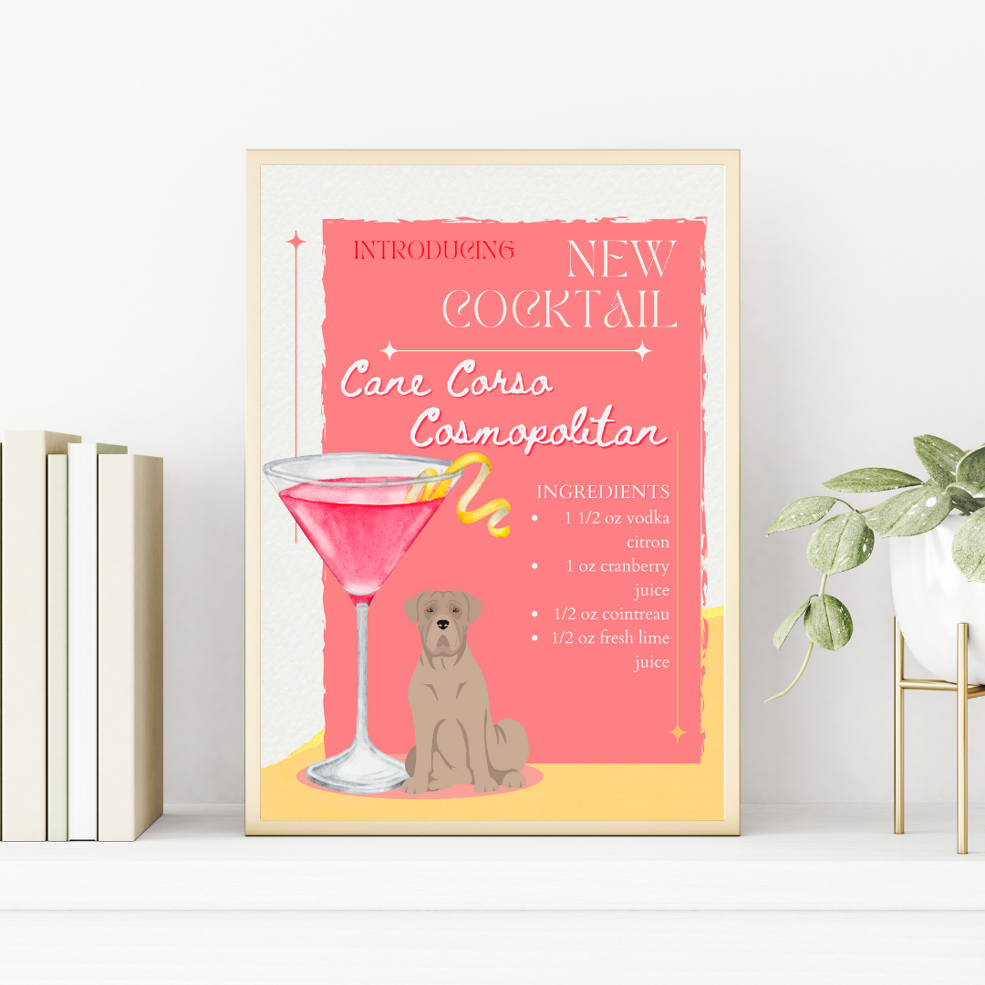 Cane Corso Cosmopolitan