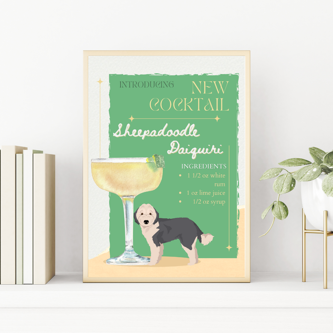 Sheepadoodle Daiquiri