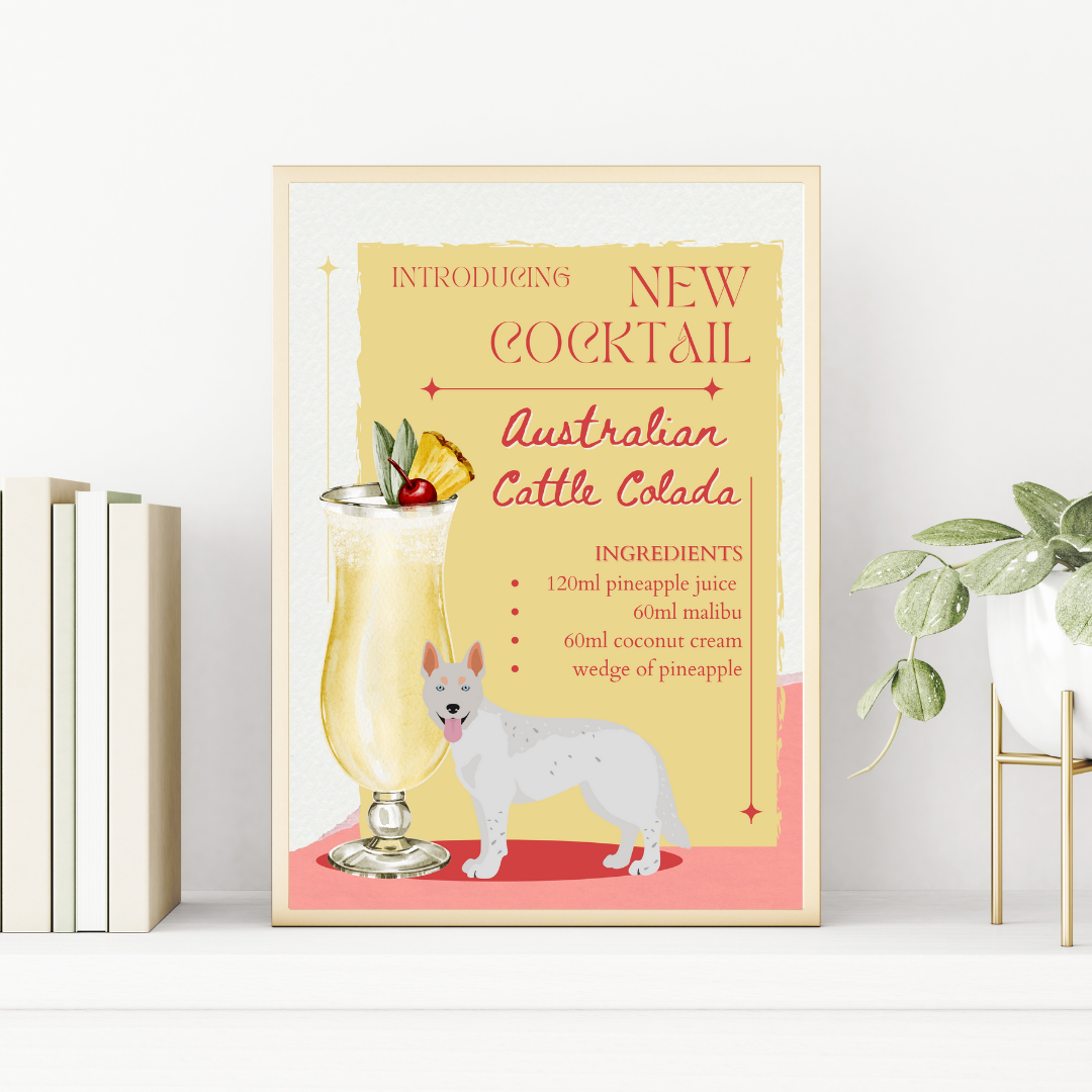 Australian Cattle Colada