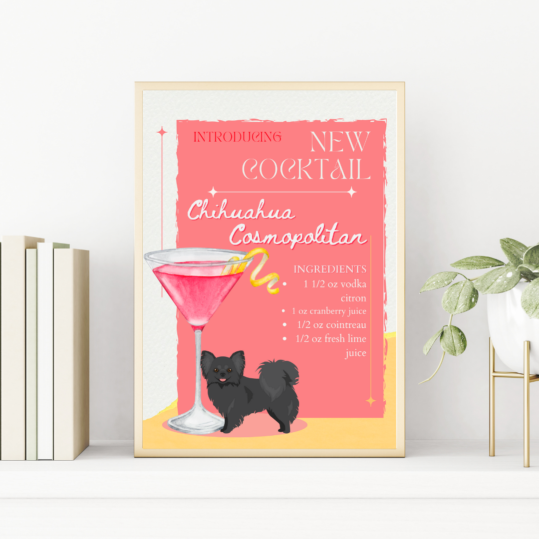 Chihuahua Cosmopolitan Long Haired