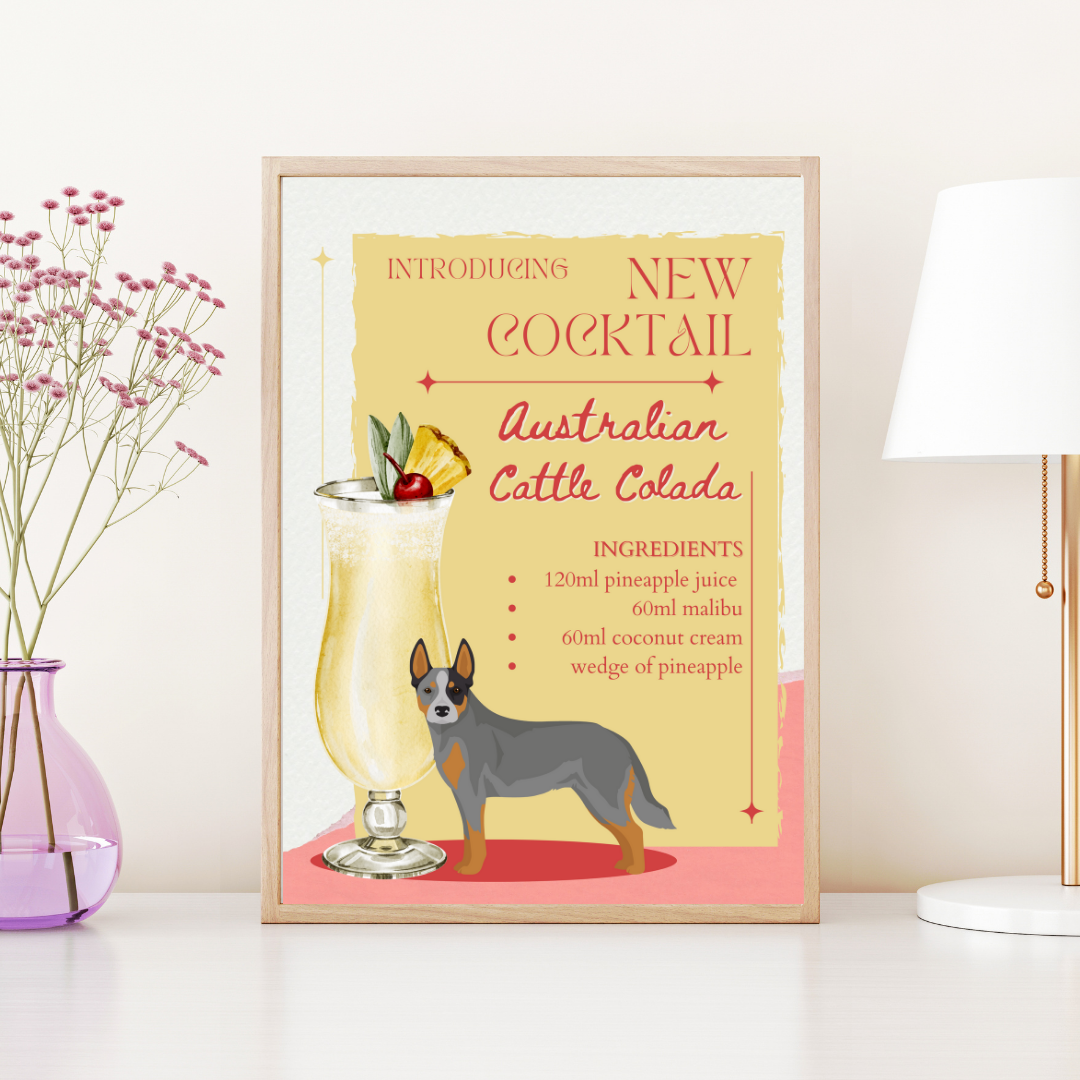 Australian Cattle Colada