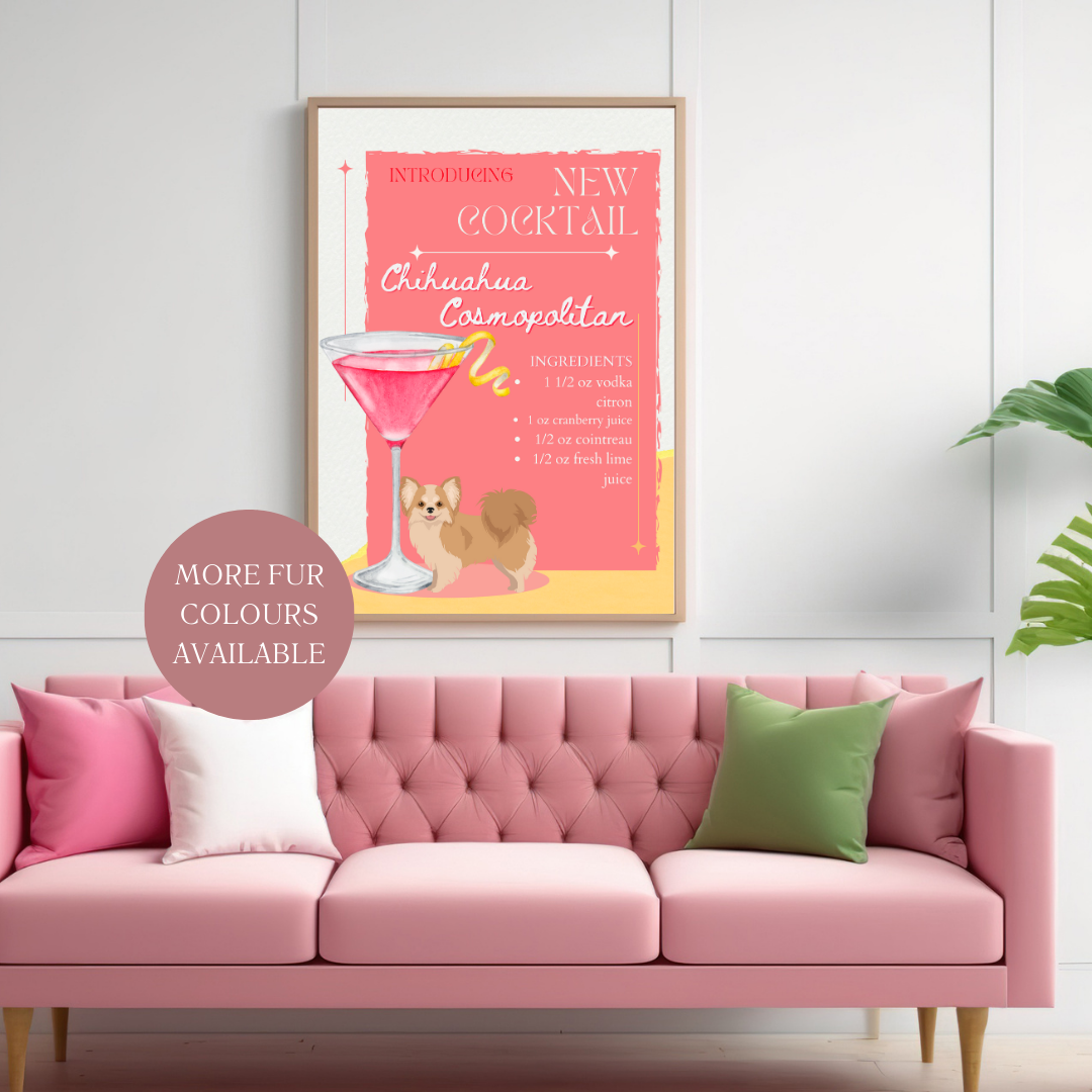 Chihuahua Cosmopolitan Long Haired