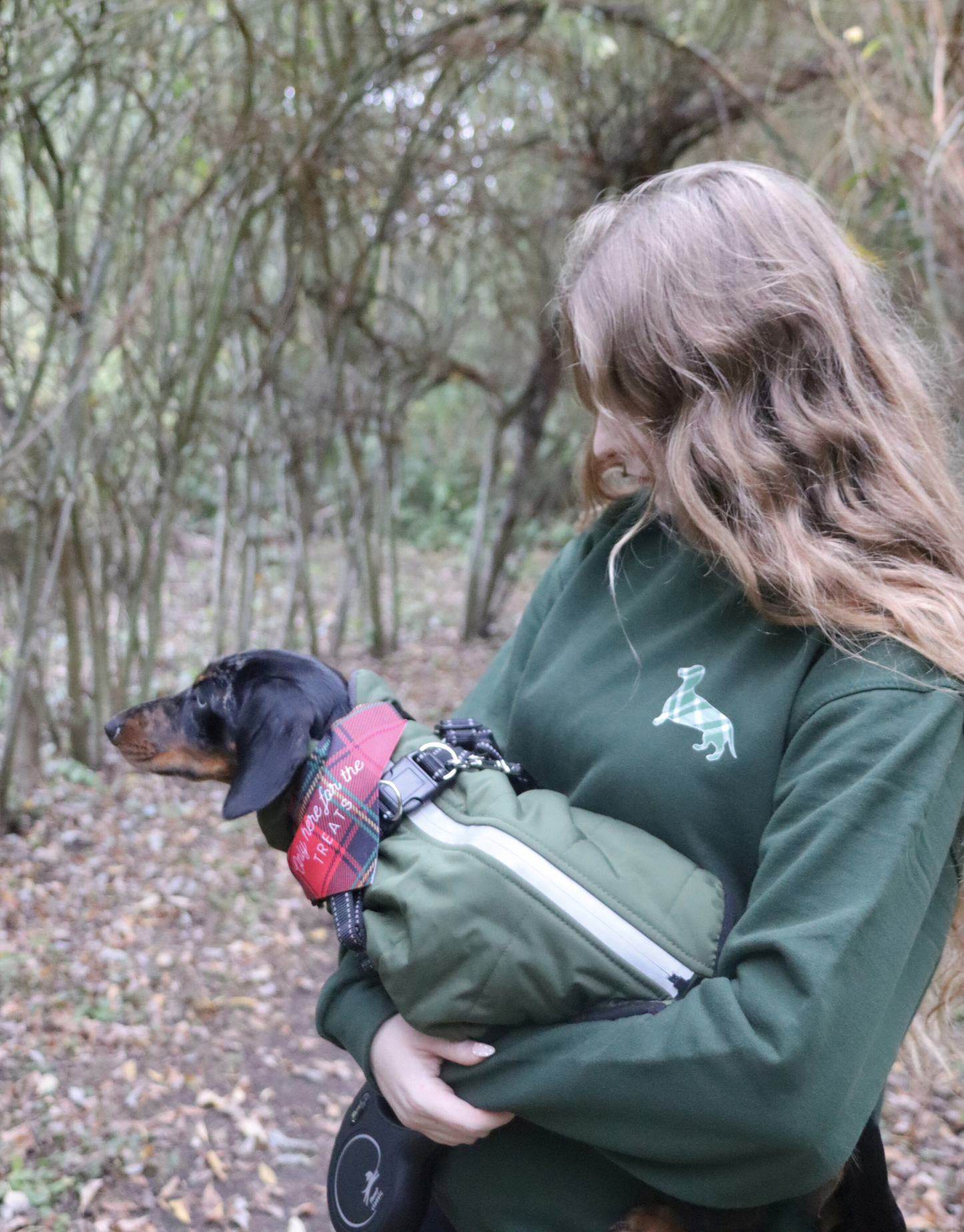 Plaid Dog Sweatshirt