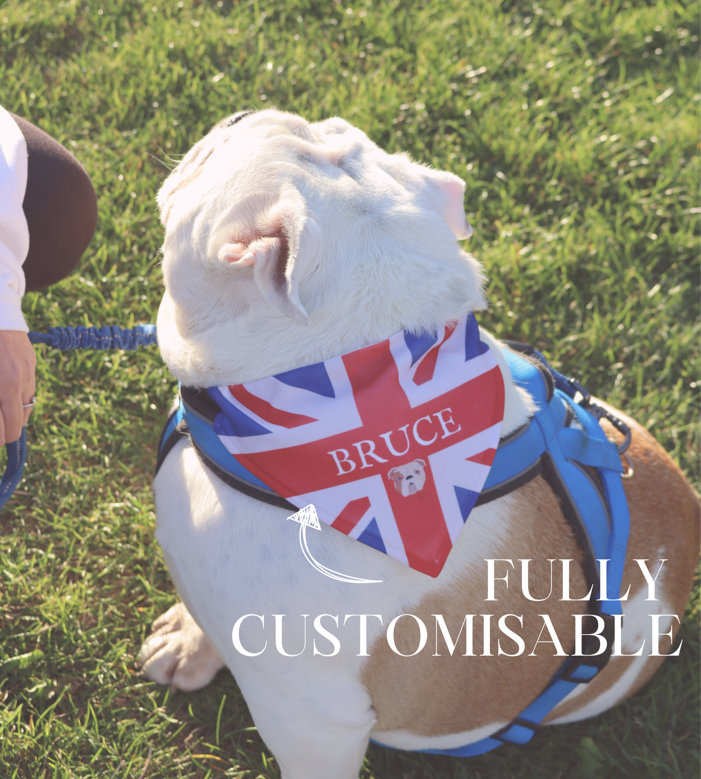 FULLY Customisable Dog Bandana