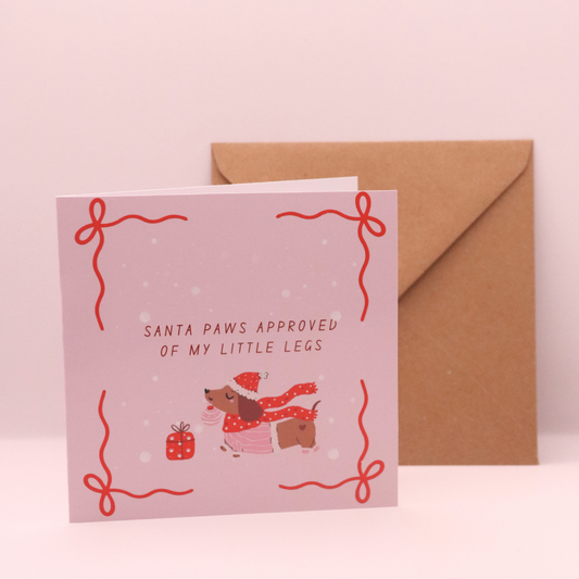 Santa Paws Approved Of My Little Legs