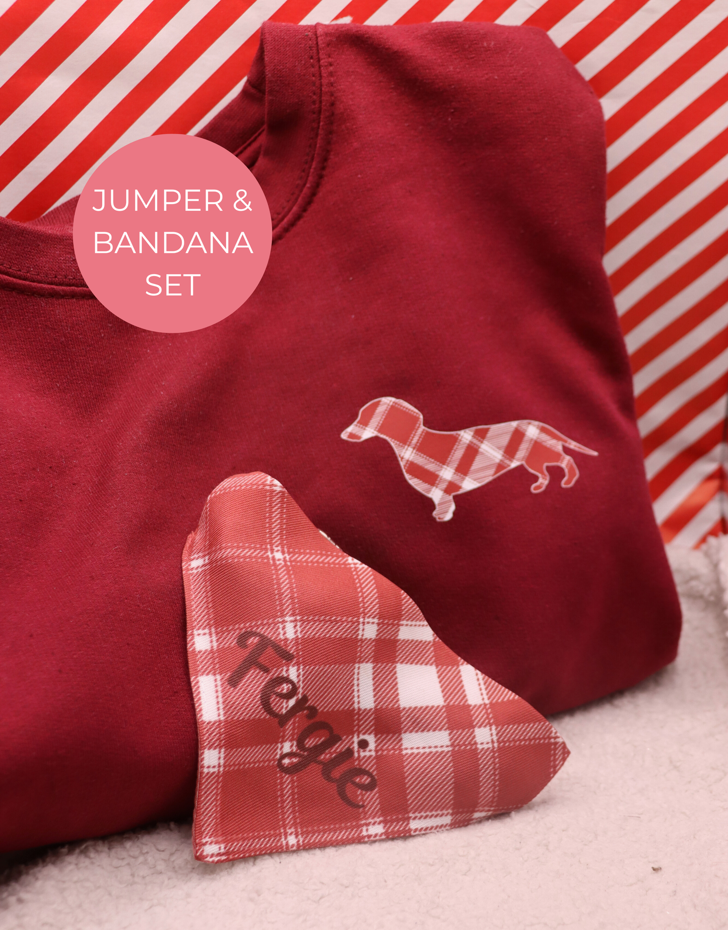 Dog Plaid Sweatshirt & Dog Bandana