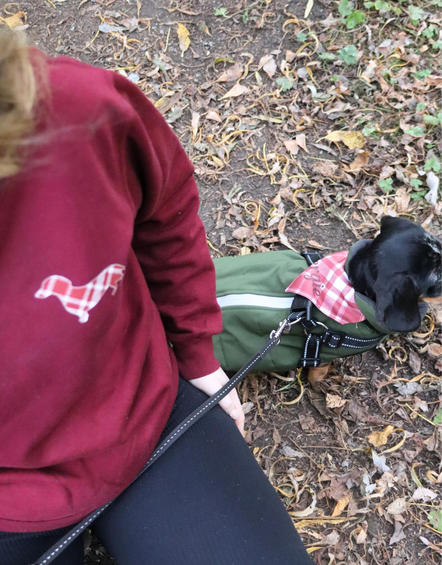 Dog Plaid Sweatshirt & Dog Bandana