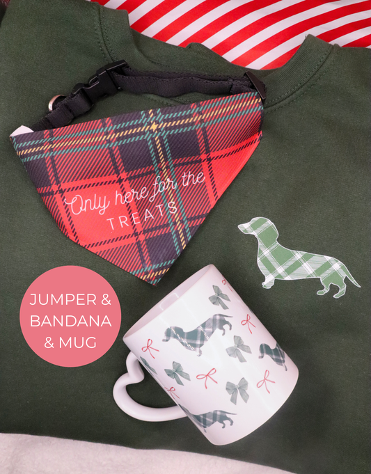 Festive Sweatshirt, Dog Bandana & Mug Set