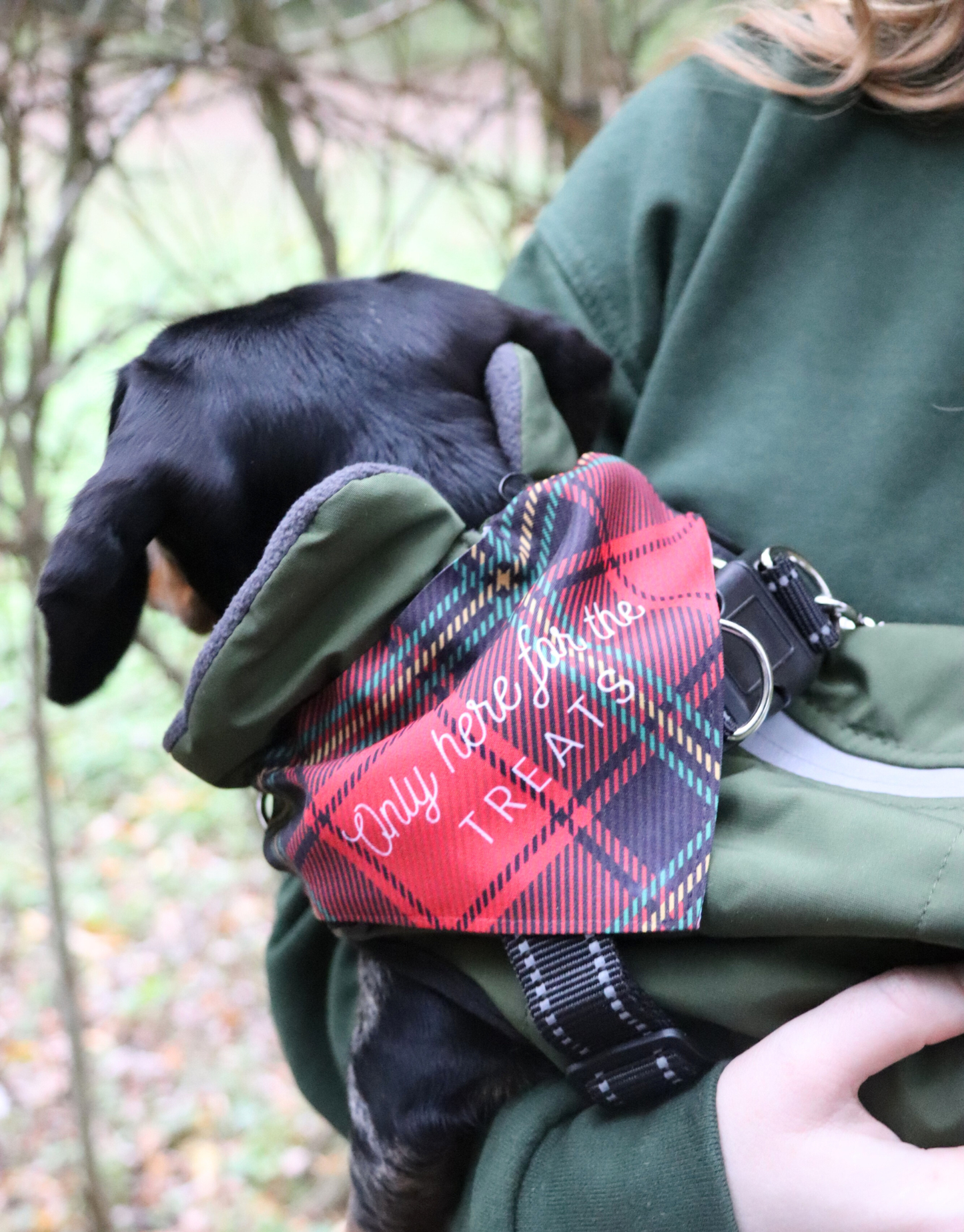 Only Here For The Treats Bandana